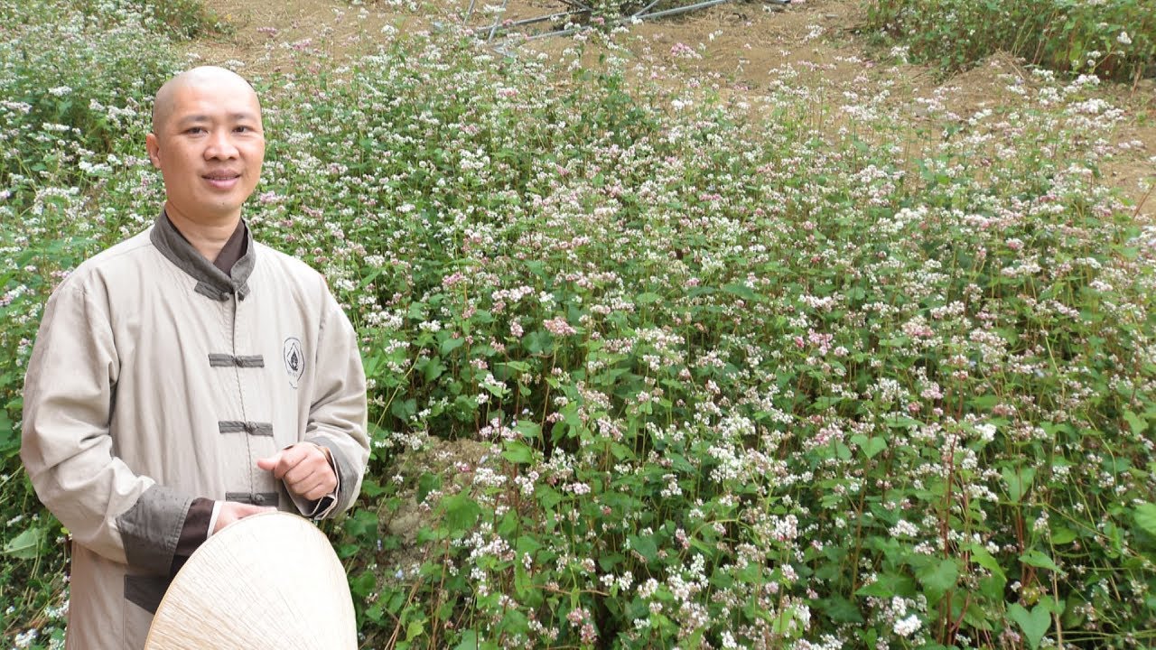 YẾU TỐ LÀM NÊN HẠNH PHÚC- TT. THÍCH THIỆN THUẬN