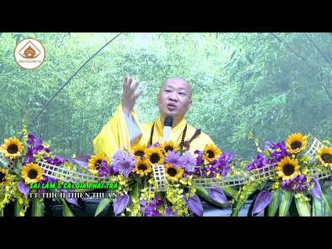 SAI LẦM & CÁI GIÁ PHẢI TRẢ – TT. THÍCH THIỆN THUẬN