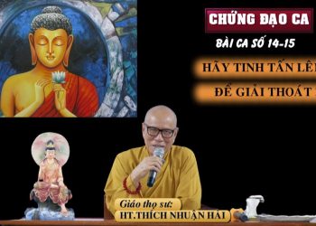 CHỨNG ĐẠO CA- BÀI SỐ 14-15 – HÃYTINH TẤN LÊN ĐỂ GIẢI THOÁT-HT. THÍCH NHUẬN HẢI -TRƯỜNG HẠ VẠN THIỆN