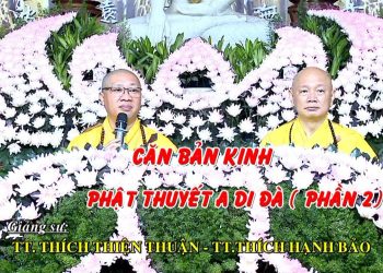 CĂN BẢN KINH PHẬTTHUYẾT A DI ĐÀ ( PHẦN 2)- KHÓA HUÂN TU 105 -TT.THÍCH THIỆN THUẬN-TT. THÍCH HẠNH BẢO