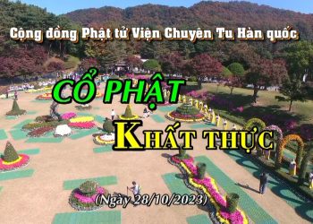 CỔ PHẬT KHẤT THỰC TẠI HÀNQUỐC – KHÓA TU THỨ 13-CỘNG ĐỒNG PHẬT TỬ VIỆN CHUYÊN TU-TT.THÍCH THIỆN THUẬN