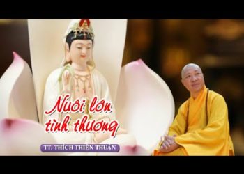 Nuôi Lớn Tình Thương – chùa Thiền Lâm Tây Ninh -TT.Thích Thiện Thuận – Viện Chuyên Tu Bà Rịa-VũngTàu