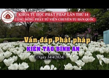 VẤN ĐÁP PHẬT PHÁP KIẾNTẠO BÌNH AN- KHÓA TU HỌC LẦN THỨ 14- CỘNG ĐỒNG PHẬT TỬ VIỆN CHUYÊN TU HÀN QUỐC
