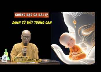 CHỨNG ĐẠO CA Bài 17- Sanh tử bất tương can – HT.Thích Nhuận Hải – Trường hạ Vạn Thiện Bà Rịa-VũngTàu