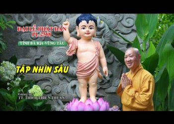 Tập Nhìn Sâu – TT. Thích Thiện Thuận – pháp thoại tại Đại Lễ Phật Đản 2568 Tỉnh Bà Rịa-Vũng Tàu