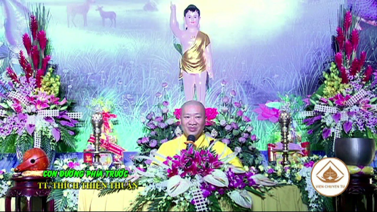 CON ĐƯỜNG PHÍA TRƯỚC – TT. THÍCH THIỆN THUẬN