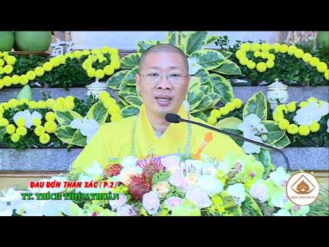 BÀI KINH VỀ MŨI TÊN- ĐAU ĐỚN THÂN XÁC ( P.2)- TT. THÍCH THIỆN THUẬN
