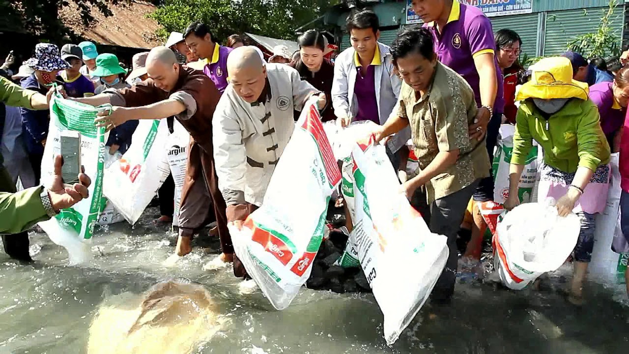 LỄ THẢ CÁ PHÓNG SINH TẠI HỒ TRỊ AN NĂM 2019- VIỆN CHUYÊN TU- TT. THÍCH THIỆN THUẬN