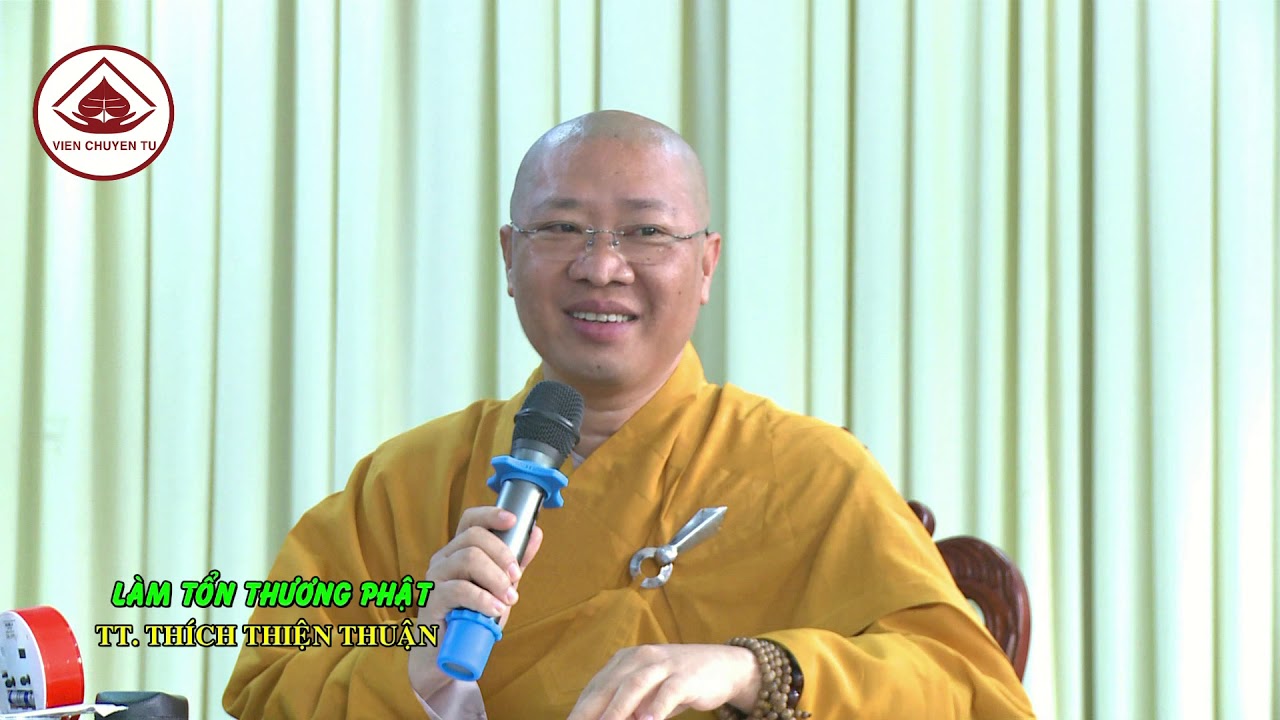 LÀM TỔN THƯƠNG PHẬT -TT. THÍCH THIỆN THUẬN