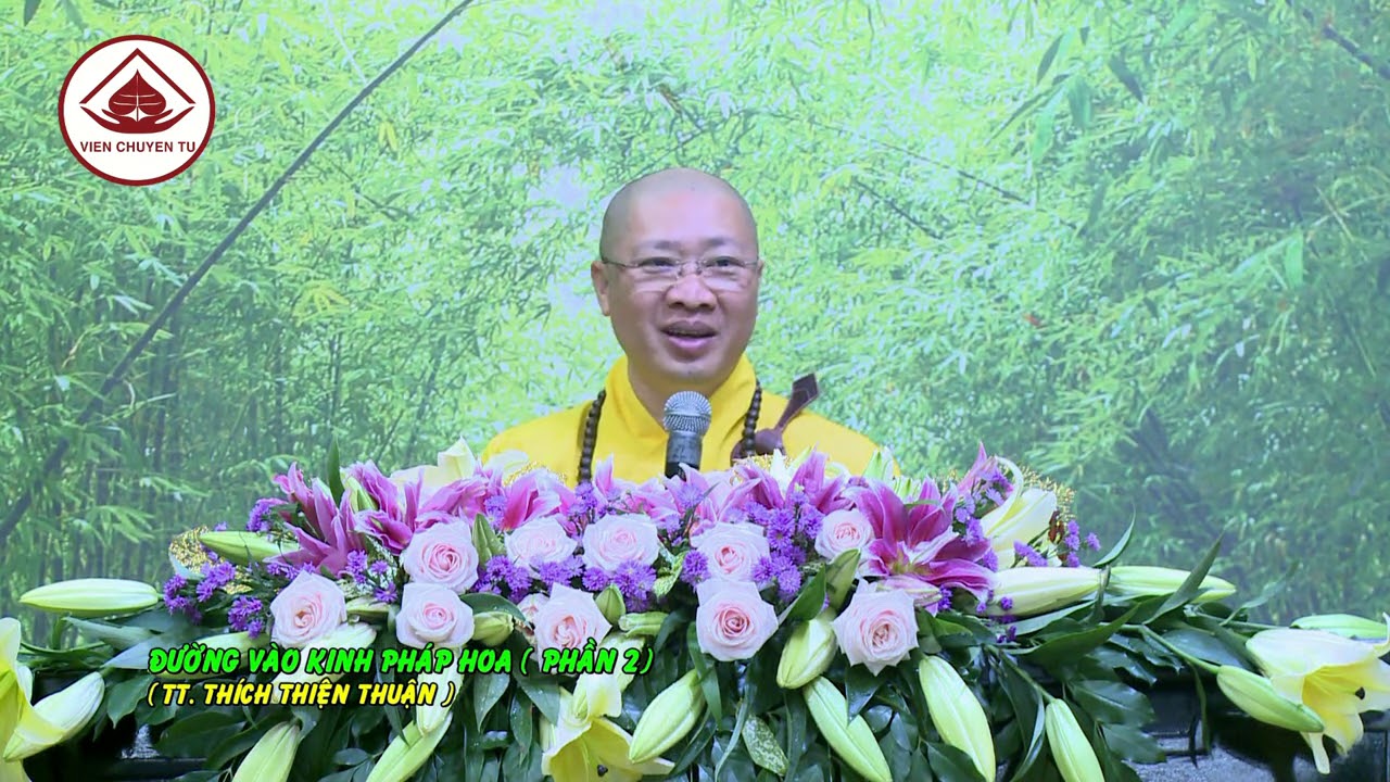 ĐƯỜNG VÀO KINH PHÁP HOA ( PHẦN 2) – TT. THÍCH THIỆN THUẬN