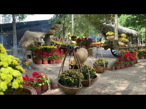 MỘT SỐ HÌNH ẢNH HOA XUÂN VIỆN CHUYÊN TU