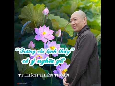 VẤN ĐÁP: ” DƯƠNG CHI TỊNH THỦY” CÓ Ý NGHĨA GÌ? – TT. THÍCH THIỆN  THUẬN