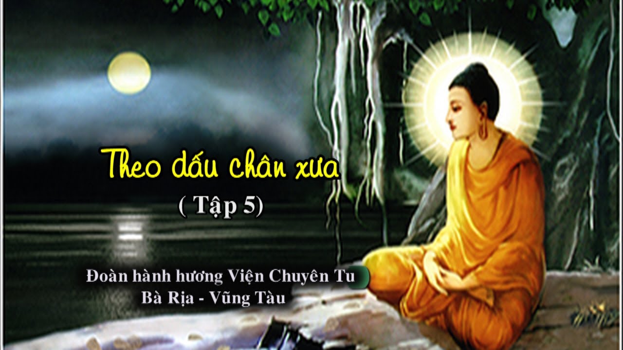 THEO DẤU CHÂN XƯA (TẬP 5) – TT. THÍCH THIỆN THUẬN