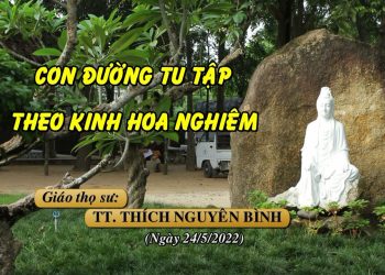 CON ĐƯỜNG TU TẬP THEO KINH HOA NGHIÊM ( P.1) – TT. THÍCH NGUYÊN BÌNH- TRƯỜNG HẠ VẠN THIỆN BR-VT