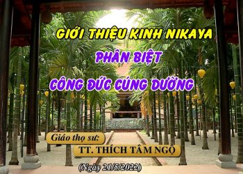 KINH NIKAYA( P.1) – PHÂN BIỆT CÔNG ĐỨC CÚNG DƯỜNG – TT. THÍCH TÂM NGỘ – TRƯỜNG HẠ VẠN THIỆN BR-VT