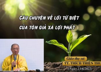 CÂU CHUYỆN VỀ LỜI TỪ BIỆT CỦA TÔN GIẢ XÁ LỢI PHẤT-TT. THÍCH THIỆN THUẬN -TRƯỜNG HẠ CHÙA XÁ LỢI