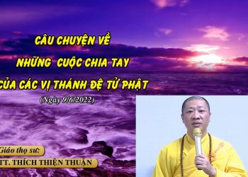 CÂU CHUYỆN VỀ NHỮNG CUỘC CHIA TAY CỦA CÁC THÁNH ĐỆ TỬ PHẬT- TT. THÍCH THIỆN THUẬN – TRƯỜNG HẠ XÁ LỢI