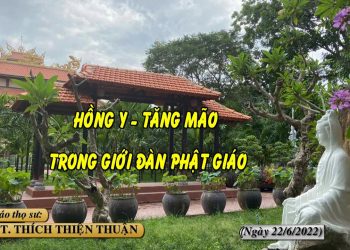 HỒNG Y – TĂNG MÃO TRONG GIỚI ĐÀN PHẬT GIÁO – TT. THÍCH THIỆN THUẬN – TRƯỜNG HẠ VẠN THIỆN BR-VT