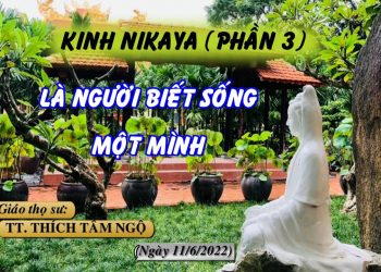 KINH NIKAYA (PHẦN 3) – LÀ NGƯỜI BIẾT SỐNG MỘT MÌNH- TT. THÍCH TÂM NGỘ – TRƯỜNG HẠ VẠN THIỆN BR-VT