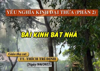 YẾU NGHĨA KINH ĐẠI THỪA ( PHẦN 2) – BÀI KINH BÁT NHÃ- TT. THÍCH TRÍ ĐỊNH – TRƯỜNG HẠ VẠN THIỆN BR-VT
