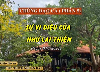 CHỨNG ĐẠO CA (P.5) – SỰ VI DIỆU CỦA NHƯ LAI THIỀN – HT. THÍCH NHUẬN HẢI – TRƯỜNG HẠ VẠN THIỆN BR-VT