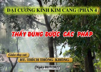 ĐẠI CƯƠNG KINH KIM CANG ( P.4)- THẤY ĐÚNG ĐƯỢC CÁC PHÁP – HT. THÍCH THÔNG KHÔNG -TRƯỜNG HẠ VẠN THIỆN