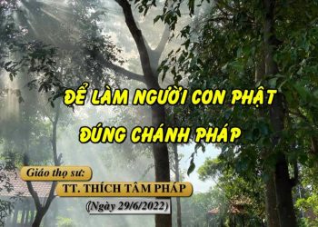 ĐỂ LÀM NGƯỜI CON PHẬT ĐÚNG CHÁNH PHÁP – TT. THÍCH TÂM PHÁP – TRƯỜNG HẠ VẠN THIỆN BR-VT