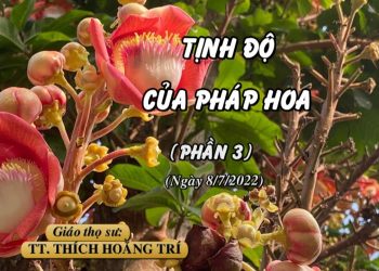 TỊNH ĐỘ CỦA PHÁP HOA ( PHẦN 3) – TT. THÍCH HOẰNG TRÍ – TRƯỜNG HẠ VẠN THIỆN BÀ RỊA – VŨNG TÀU.