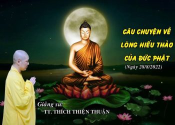 CÂU CHUYỆN VỀ LÒNG HIẾU THẢO CỦA ĐỨC PHẬT – TT. THÍCH THIỆN THUẬN – VIỆN CHUYÊN TU BR-VT