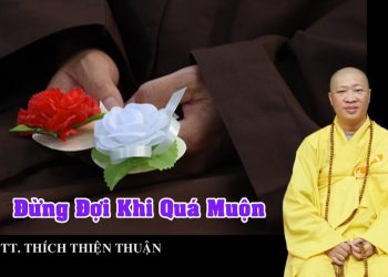 ĐỪNG ĐỢI KHI QUÁ MUỘN – TT. THÍCH THIỆN THUẬN – VIỆN CHUYÊN TU – CHÙA VẠN THIỆN