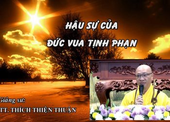 CÂU CHUYỆN VỀ HẬU SỰ CỦA ĐỨC VUA TỊNH PHẠN – TT. THÍCH THIỆN THUẬN