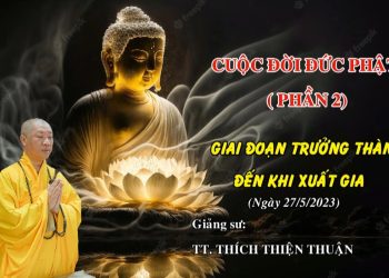CUỘC ĐỜI ĐỨC PHẬT (PHẦN .2) – GIAI ĐOẠN TRƯỞNG THÀNH ĐẾN KHI XUẤT GIA – TT. THÍCH THIỆN THUẬN