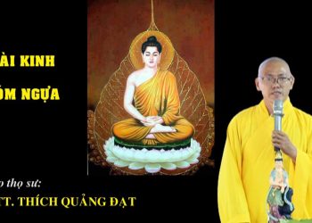 BÀI KINH XÓM NGỰA – TRUNG BỘ KINH -TT. THÍCH QUẢNG ĐẠT- TRƯỜNG HẠ VẠN THIỆN BÀ RỊA – VŨNG TÀU