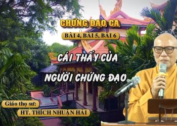 CHỨNG ĐẠO CA- BÀI 4,5,6 – CÁI THẤY CỦA NGƯỜI CHỨNG ĐẠO- HT.THÍCH NHUẬN HẢI-TRƯỜNG HẠ VẠN THIỆN BR-VT