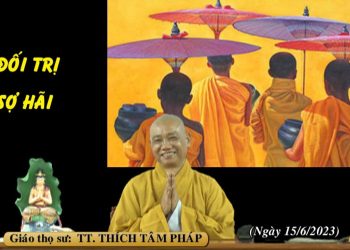 ĐỐI TRỊ SỢ HÃI – TT. THÍCH TÂM PHÁP – TRƯỜNG HẠ VẠN THIỆN BÀ RỊA-VŨNG TÀU