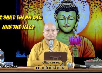 ĐỨC PHẬT THÀNH ĐẠO NHƯ THẾ NÀO? – TT. THÍCH TÂM TRỤ – TRƯỜNG HẠ VẠN THIỆN BÀ RỊA – VŨNG TÀU