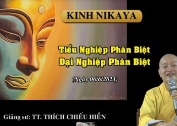 NIKAYA -TIỂU NGHIỆP PHÂN BIỆT – ĐẠI NGHIỆP PHÂN BIỆT- TT.THÍCH CHIẾU HIỀN-TRƯỜNG HẠ VẠN THIỆN BR-VT