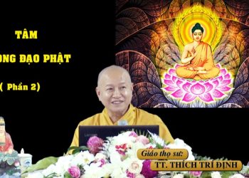 TÂM TRONG ĐẠO PHẬT ( PHẦN 2) – TT. THÍCH TRÍ ĐỊNH – TRƯỜNG HẠ VẠN THIỆN BÀ RỊA – VŨNG TÀU NĂM 2023