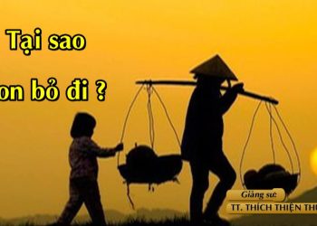 TẠI SAO CON BỎ ĐI?-TT. THÍCH THIỆN THUẬN – KHÓA TU MÙA HÈ LẦN THỨ 9 NĂM 2023 – CHÙA VẠN PHƯỚC BR-VT