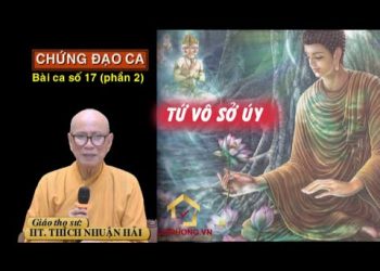 Chứng Đạo Ca ( Bài số 17 – phần 2) – TỨ VÔ SỞ ÚY- HT.Thích Nhuận Hải- Trường hạ Vạn Thiện – BR-VT