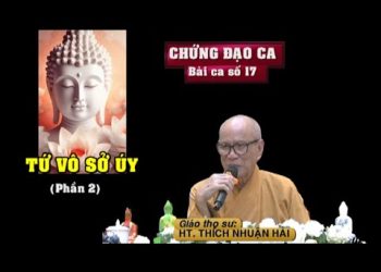 Chứng Đạo Ca  Bài số 17- Tứ Vô Sở Úy ( Phần 2) – HT. Thích Nhuận Hải – Trường hạ Vạn Thiện BR_VT