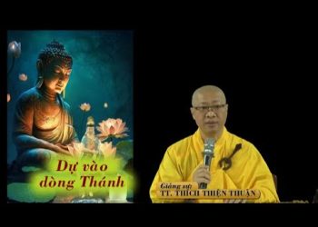 Dự vào dòng Thánh – TT. Thích Thiện Thuận – Trường hạ Thiên Bửu Tháp – Bà Rịa-Vũng Tàu