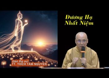Đương Hạ Nhất Niệm – TT. Thích Tâm Nguyên – Trường hạ Vạn Thiện Bà Rịa-Vũng Tàu.