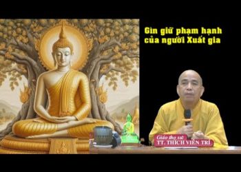 Gìn giữ phạm hạnh của người Xuất gia – TT. Thích Viên Trí – Trường hạ Vạn Thiện Bà Rịa-Vũng Tàu