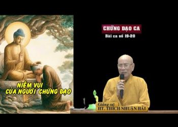 CHỨNG ĐẠO CA- Bài ca số 19-20- Niềm Vui Của Người Chứng Đạo- HT. Thích Nhuận Hải-Trường hạ VạnThiện