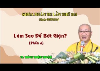 Làm Sao Để Bớt Giận? ( Phần 1)-TT. Thích Thiện Thuận- Khóa Huân Tu lần thứ 14 – Viện Chuyên Tu II ĐN