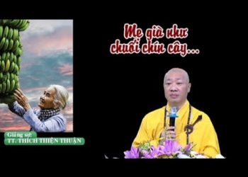 Mẹ Già Như Chuối Chín Cây – Linh  Quan Tịnh Xá – TT. Thích Thiện Thuận – Viện Chuyên Tu BRVT