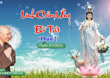 Linh Cảm Ứng Bồ Tát ( Phần 2) – Chùa Xá Lợi -TT.Thích Thiện Thuận Viện Chuyên Tu Bà Rịa-Vũng Tàu