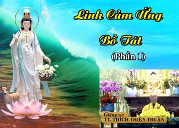 LINH CẢM ỨNG BỒ TÁT (Tập 1) – Chùa Xá Lợi – TT. THÍCH THIỆN THUẬN Viện Chuyên Tu Bà Rịa-Vũng Tàu